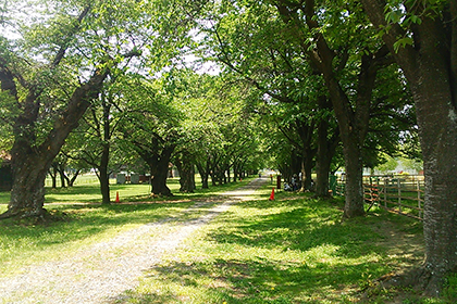 長野牧場